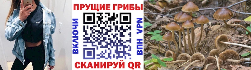 наркота  дарк нет формула  Галлюциногенные грибы мицелий  Коркино  блэк спрут ССЫЛКА 